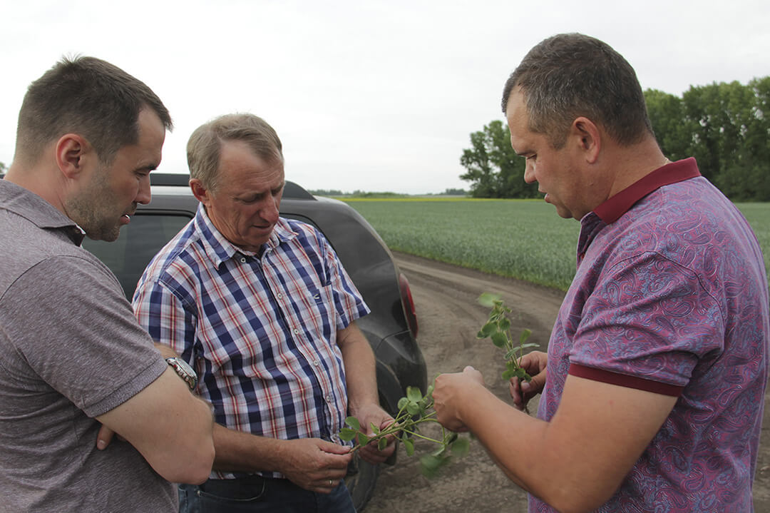 За семенами на Алтай! 