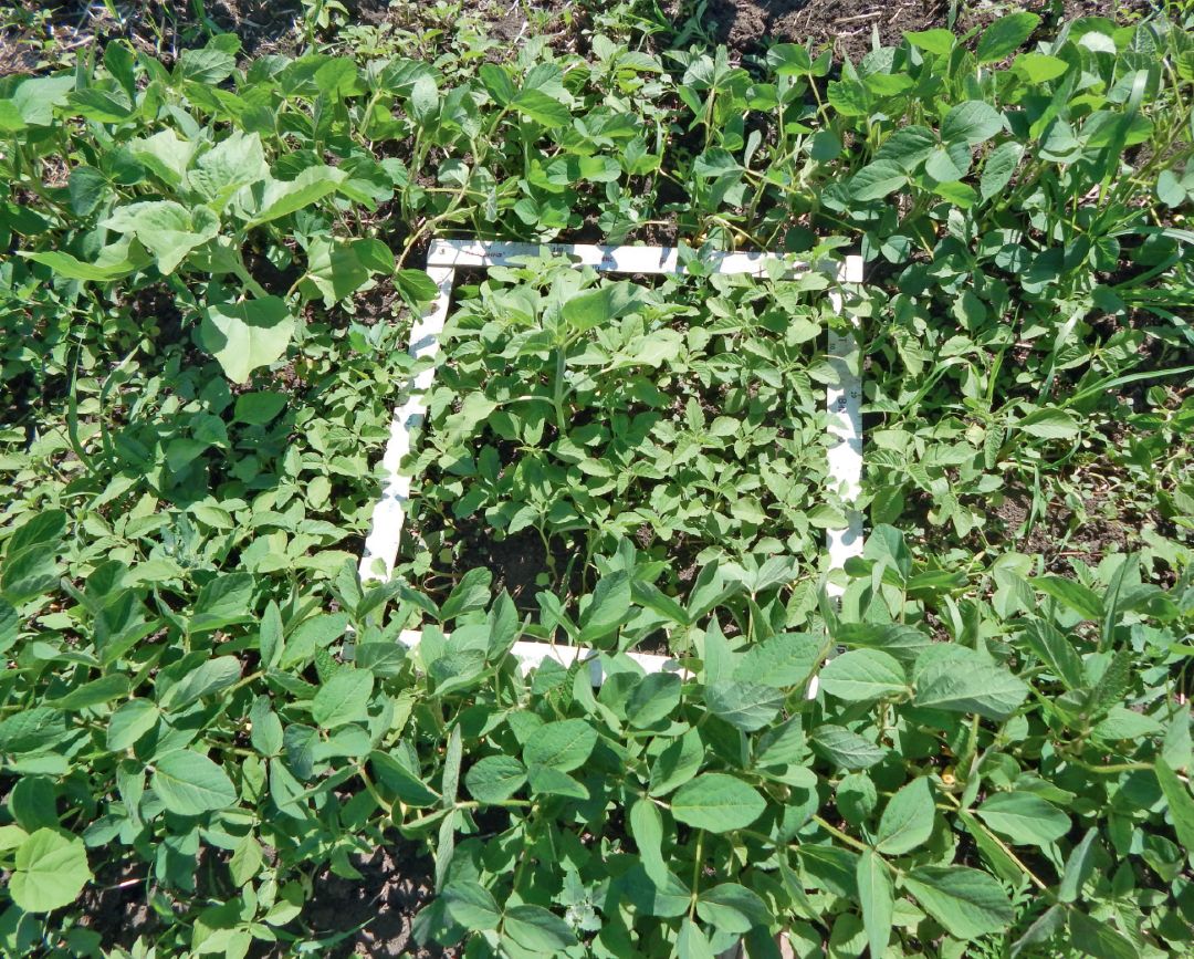 Контроль без обработки на ту же дату