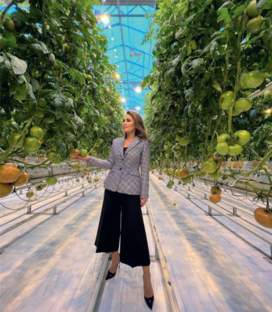 Ш. М. Хабибрахманова