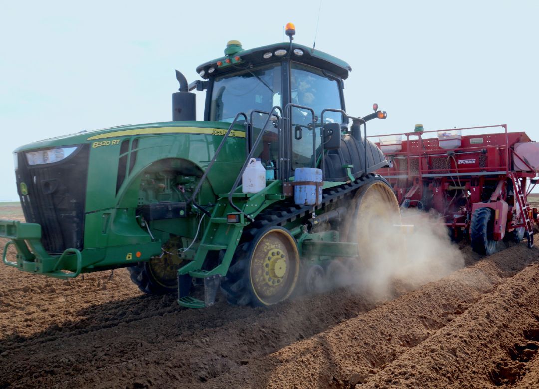 Процесс посадки картофеля