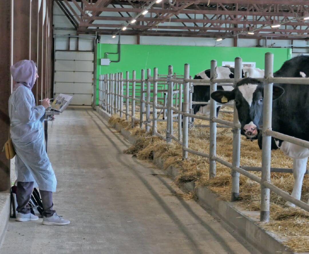 Позируют буренки