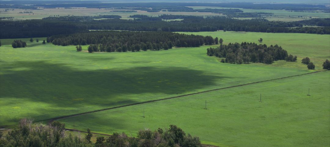 Поля в «Burabay Grain»