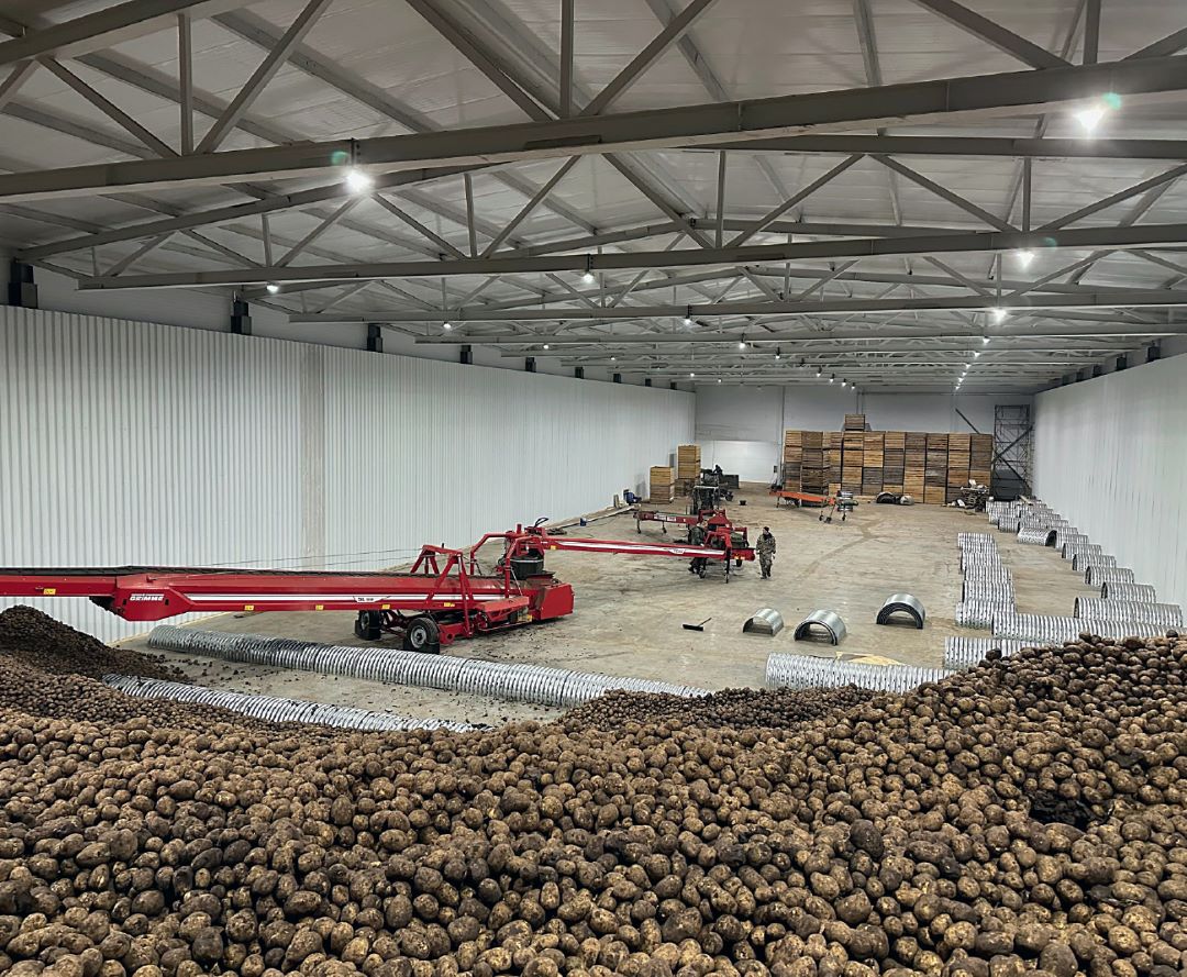 Закладка картофеля, защищенного препаратами «Августа», в КФХ Хабузов С. С. Нижегородской область