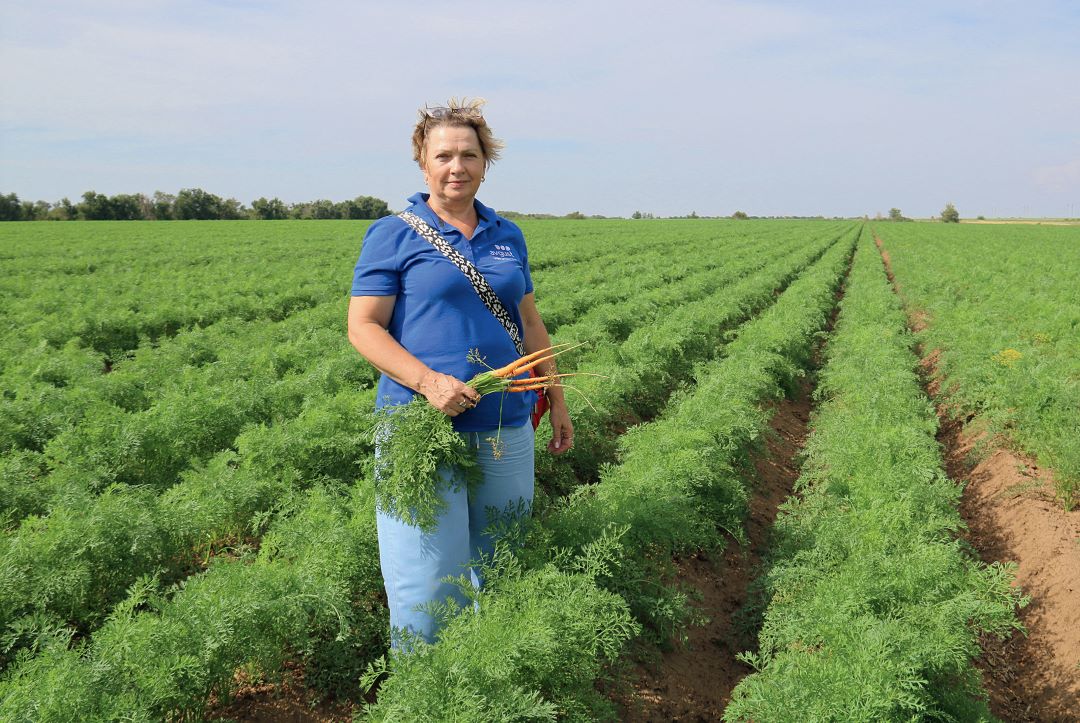 И. И. Ряснова на моркови, июль 2024 год