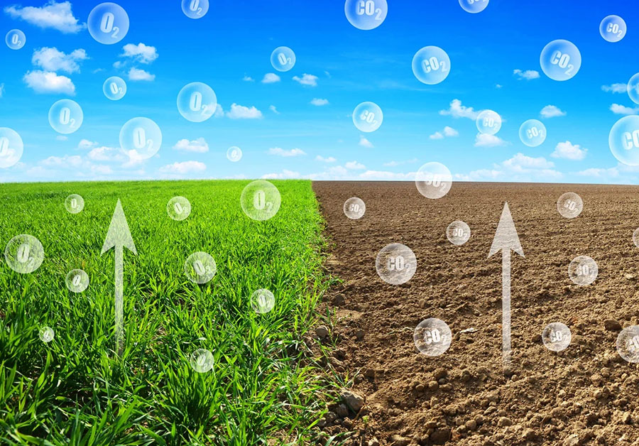 Чыгындыларды кыскартуу менен киреше табуу: "Август" компаниясы көмүртек бирдиктерин сатуу программасын сынайт