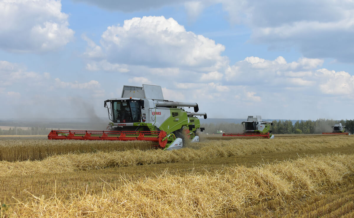 «Август-Кайбицы»