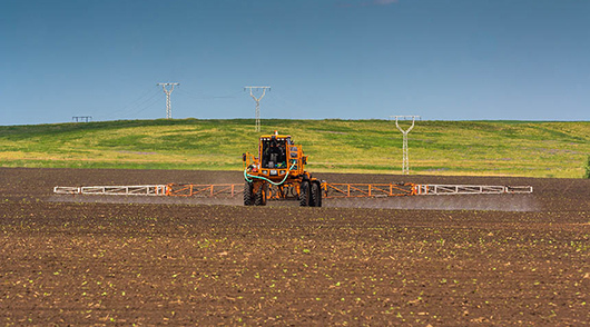 "Август" компаниясы Россияда өсүмдүктөрдү коргоо каражаттарын колдонуу аянтынын өсүшүн болжолдойт