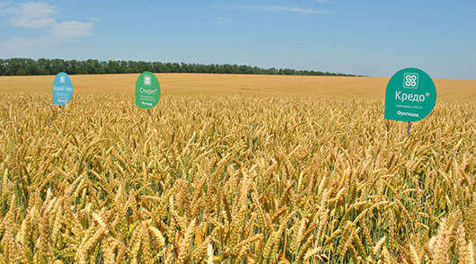 Компания «Август» создаст полевую опытную станцию в Подмосковье