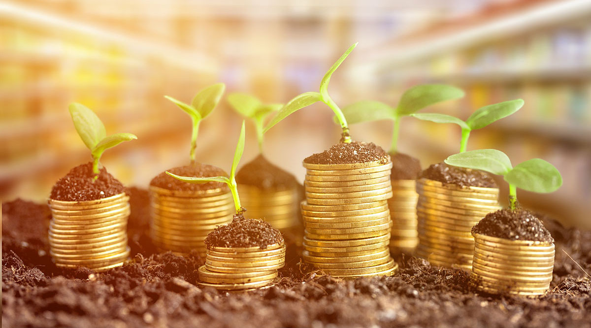 Второй день на выставке «АГРОВОЛГА-2024»