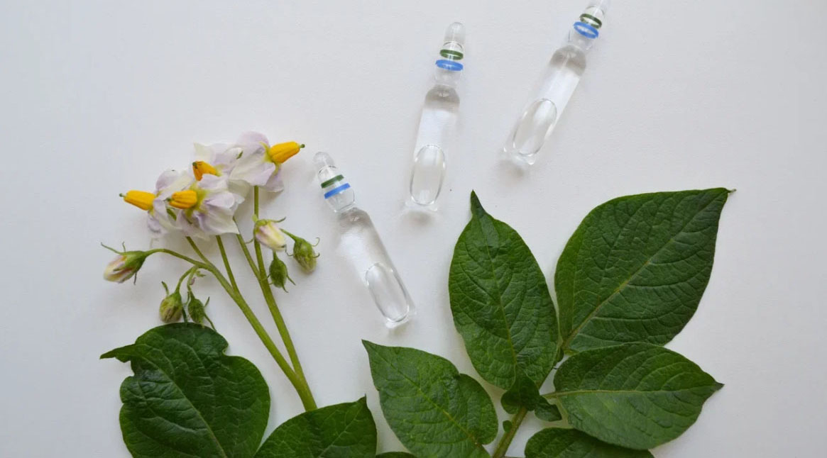 "7 адамдын 10у жасалма экенин билет, баары бир колдонушат": багбандар жана багбандар үчүн пестициддер базарында контрафакттар көбөйүүдө