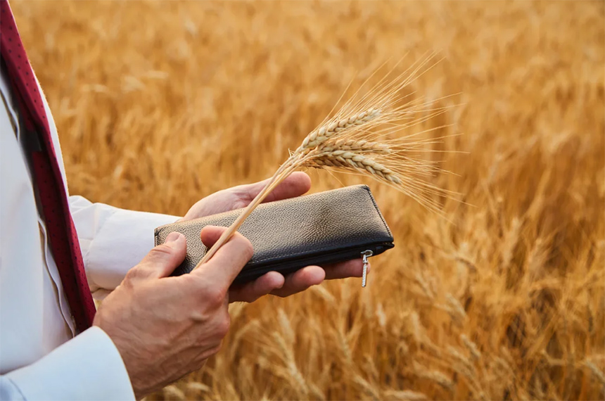 Эксперттер "Августа" Россияда топ 5 жогорку маржиналдык өсүмдүктөрдү жана 2021-жылы алар үчүн негизги коркунучтарды аташты