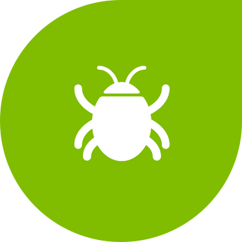 Картошканын көпөлөгү