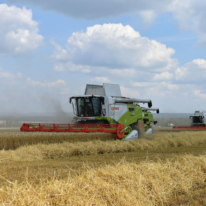 «Август-Лениногорск»