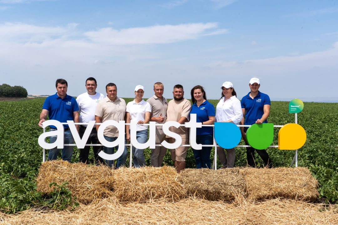 "Август" Ставропольдо картошка өстүрүүчүлөр үчүн талаа күнү өнөктөш болду