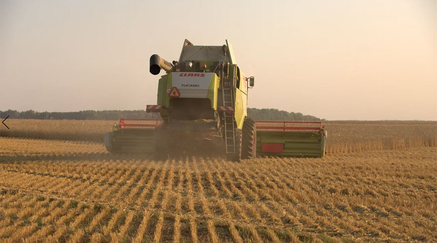 Технология нулевой обработки почвы сохранила аграриям урожаи в условиях засухи 2020 года