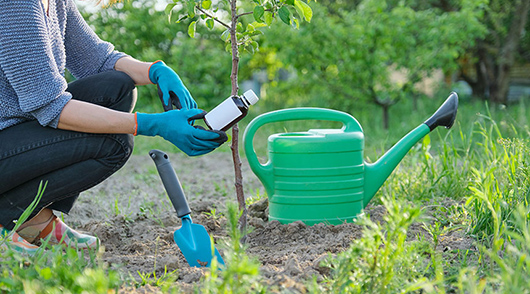 Талаадагы кара сыйкыр: "өсүү промоутерлеринен"эмнени күтүүгө болот