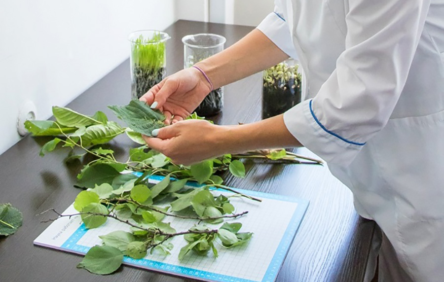 "Августа" жаңы агробабораториясы Ставрополь дыйкандарына түшүмдүүлүктү жогорулатууга жардам берет