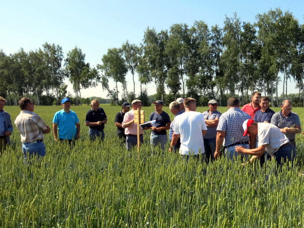 Омск: "Иртыш"күнү талаа күнү