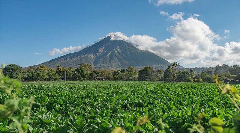 Компания «Август» в 2020 году вышла на рынок Никарагуа