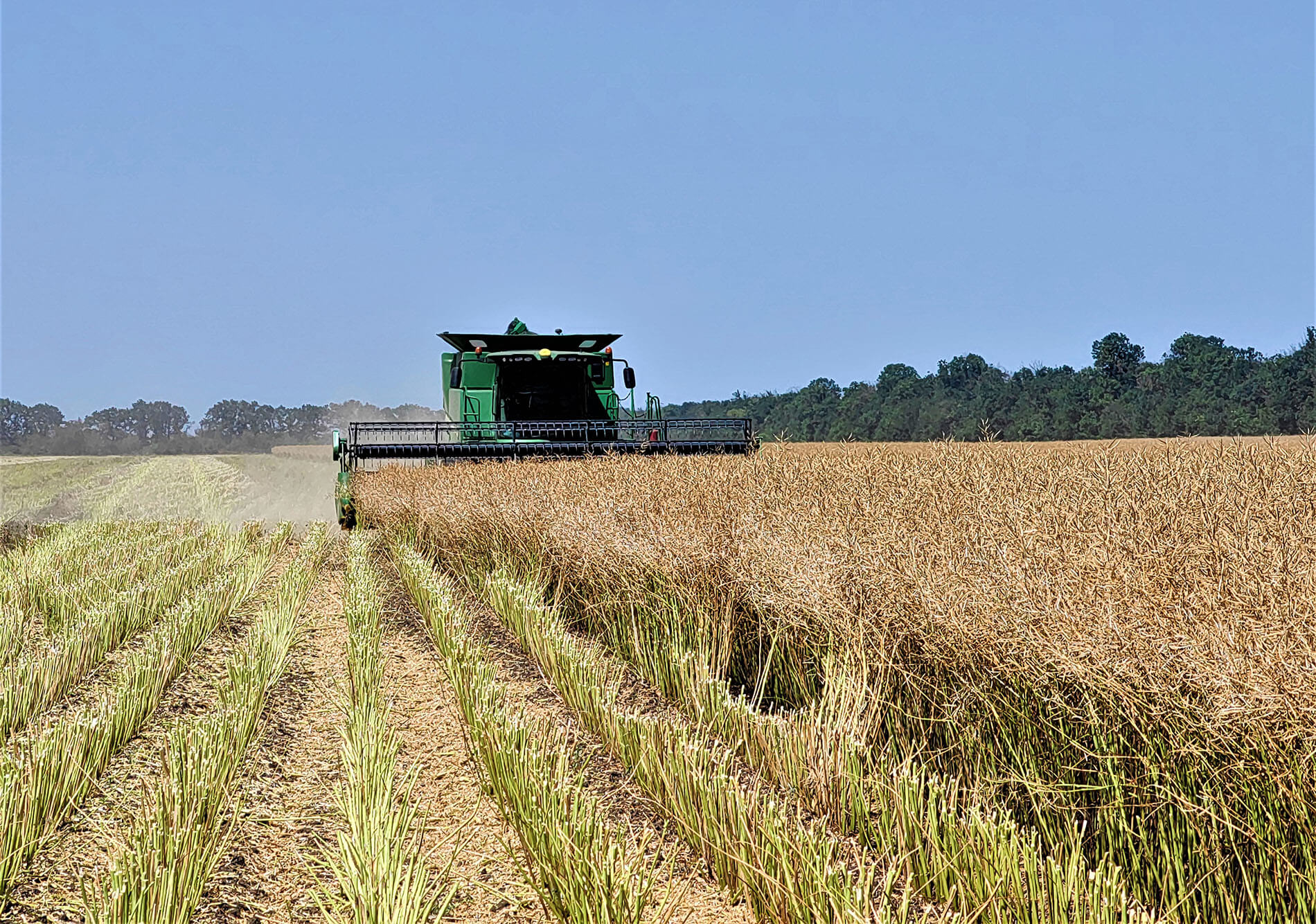 Россия айыл чарба пестициддердин жетишсиздигине коркунуч туудурабы?