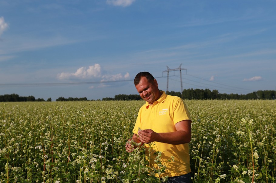 Своевременное решение: аграрии оценили препараты «Августа» для борьбы с сорняками на гречихе