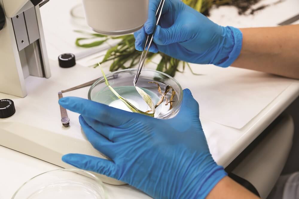 "Дыйкандар топурактын асылдуулугун жоготуп эмес, кантип ойлонуп"