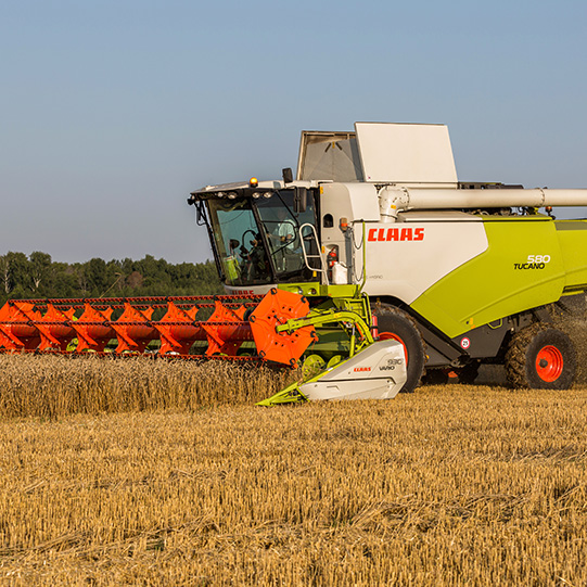 «Август-Лениногорск»