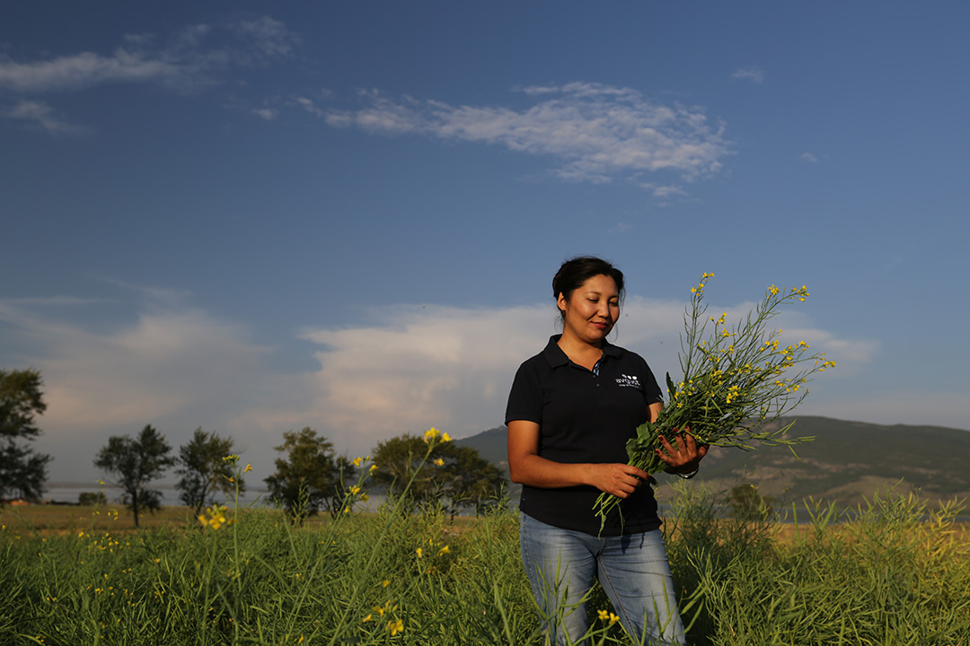«Август» победил в международной конкуренции на рынке Казахстана
