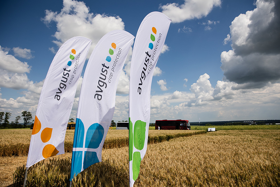 Курск шаарындагы" Август " семинары