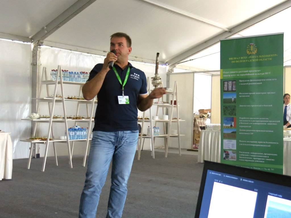 Волгоград: как защитить нут