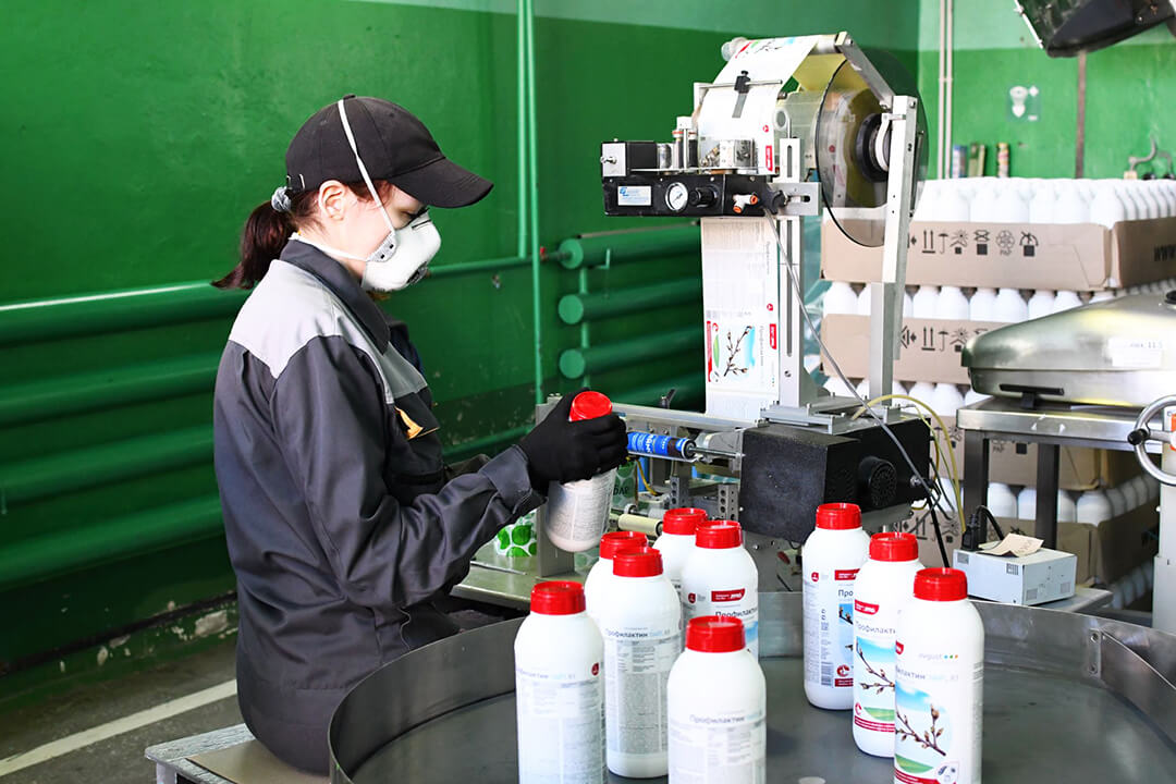 "Август" жайкын тургундар үчүн продукция чыгарууну кеңейтет