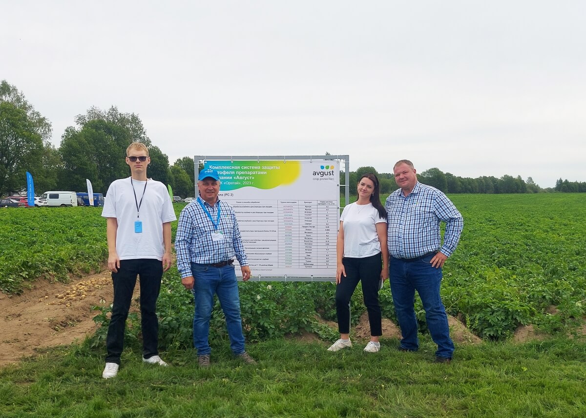 Картошка өстүрүүчүлөр үчүн талаа түбүндө "Август"