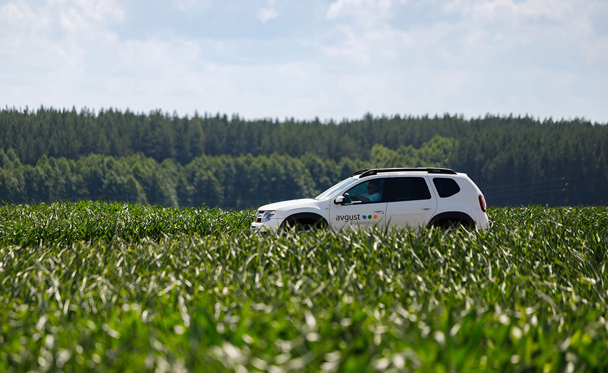"Август-Агро" чарбалары 550-жылдын жыйынтыгы боюнча 2022 миң тонна айыл чарба продукциясын өндүргөн