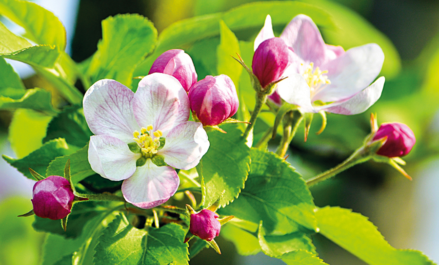 С Первомаем!