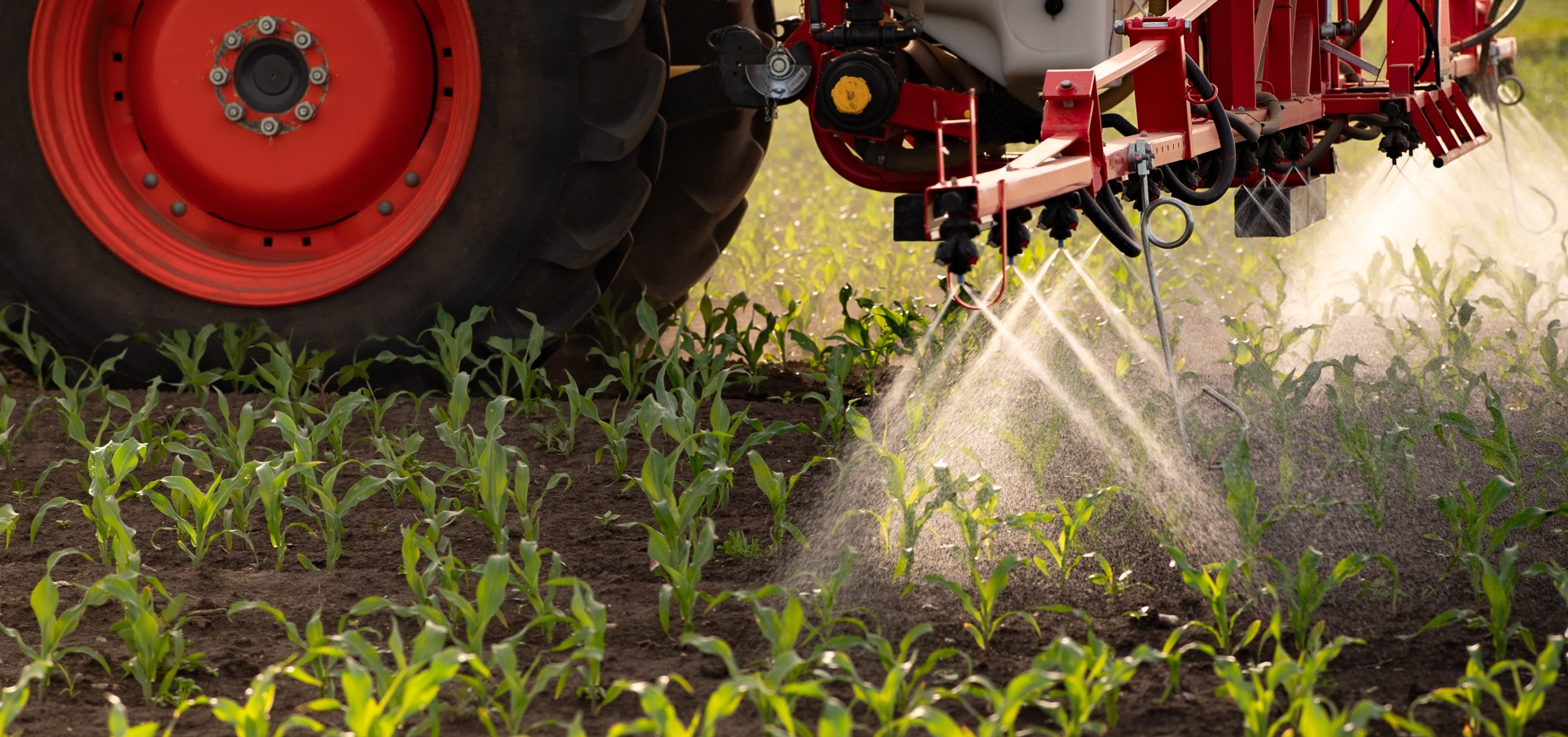 «Август»: о проблемах учета обращения пестицидов и мерах для исправления ситуации