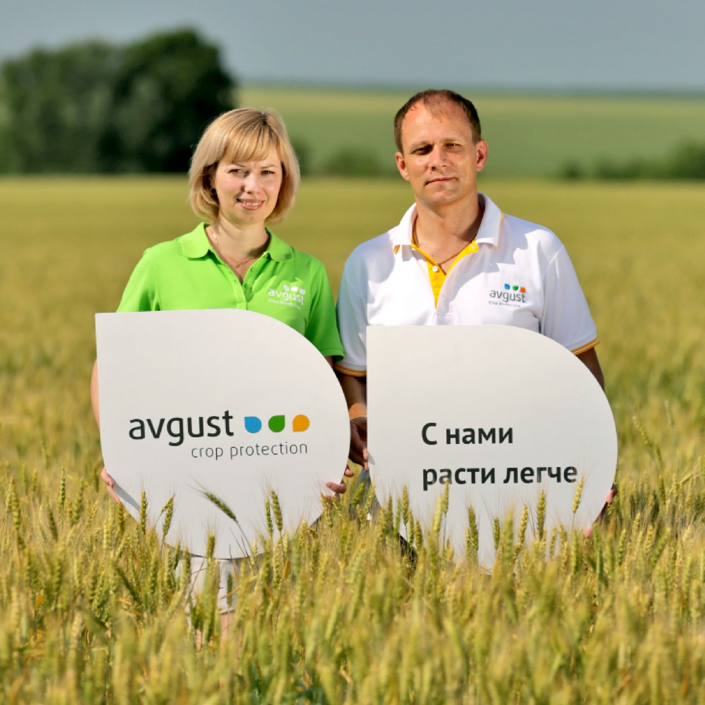 Скараб инсектицидин каттоону кеңейтүү