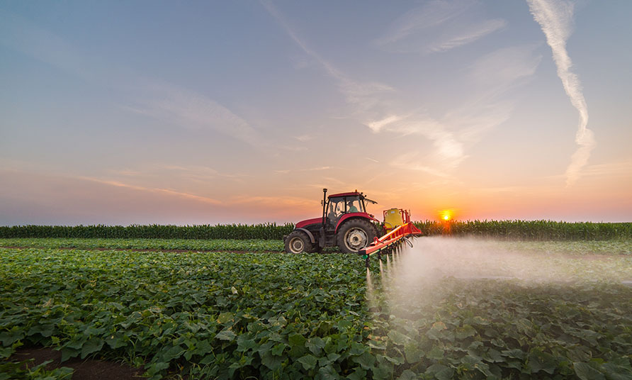 Фальсификат – угроза полям: эксперты «Августа» рассказали о последствиях применения некачественных пестицидов