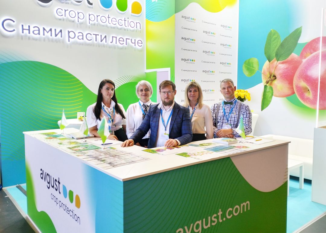 Картошканы коргоонун жаңы схемасы