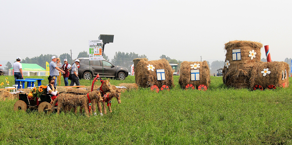 Рапс в центре внимания