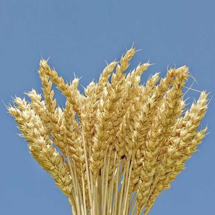 "Август-Кама Оозу"