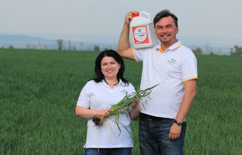 Дыйкандарга көбүрөөк колдоо: 2017-жылдан бери "августта" технологиялык менеджерлердин саны 40ка өстү%