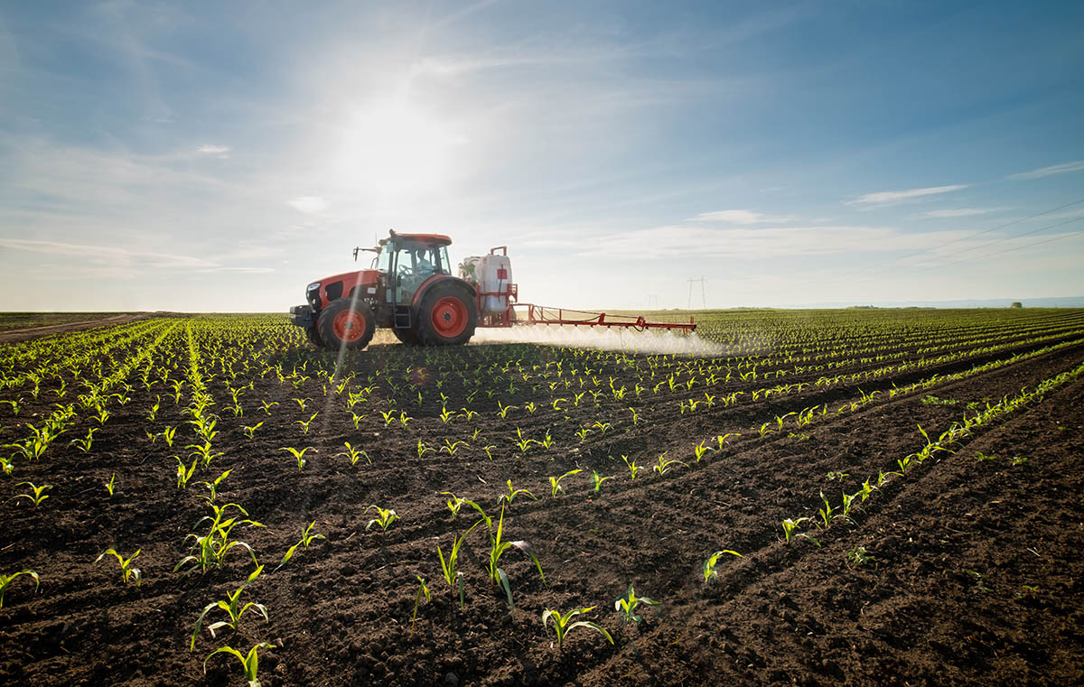 "Август" өсүмдүктөрдү коргоо каражаттарынын баасынын өсүшүн токтотот