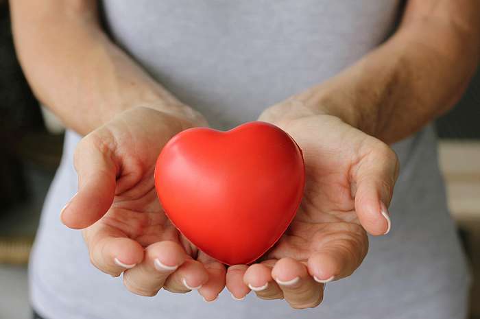 Аймактарды көрктөндүрүү