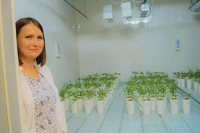 Корпоративдик жашоо