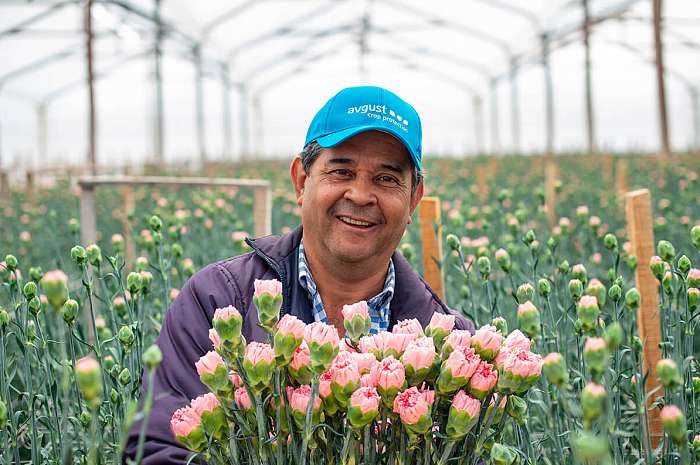 Корпоративдик жашоо